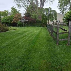 lawn care by Geaux Superior Landscaping reviewed on August 21, 2025