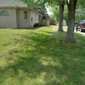 landscaping by Alo's lawn care services LLC reviewed on August 15, 2025