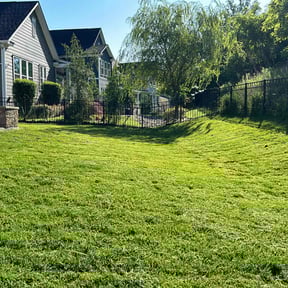 yard care by Jireh A.C trees and lawn services reviewed on November 21, 2025