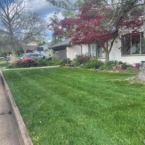 yard maintenance by Virginia painting and more reviewed on December 21, 2025