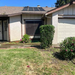 Bush Trimming by Allen &amp; Son Yard Service reviewed on August 16, 2025