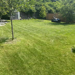 yard maintenance by Fidel & Sons Lawncare reviewed on August 18, 2025