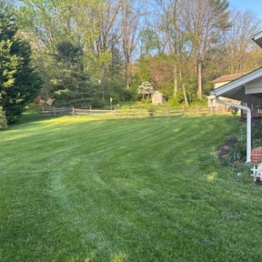 yard work by YFC Lawn Care and Maintenance reviewed on November 23, 2025