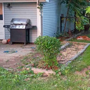 Bush Trimming by Haywood's Lawn Care reviewed on July 15, 2026