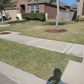Bush Trimming by PJ's Lawn Service reviewed on August 19, 2025