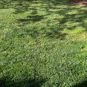 residential landscaping by Joshua's landscaping reviewed on August 16, 2025