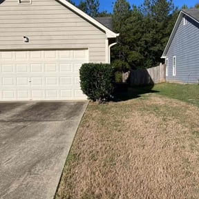 Bush Trimming by Lawncare DM. reviewed on August 21, 2025