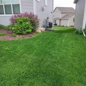 turf care by Rusted Vine reviewed on March 25, 2024