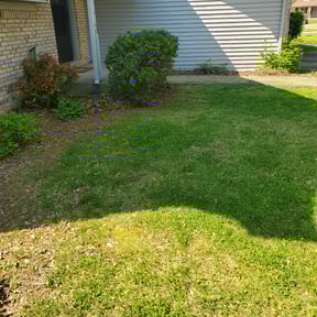 Bush Trimming by Walkernmore reviewed on April 6, 2024