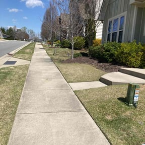 turf care by reviewed on October 7, 2019