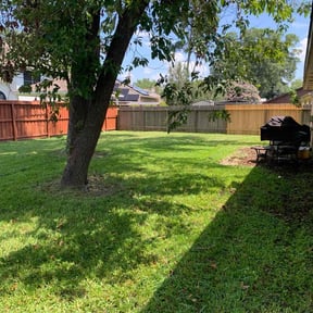 landscaping services by SJTO General LLC reviewed on August 19, 2025