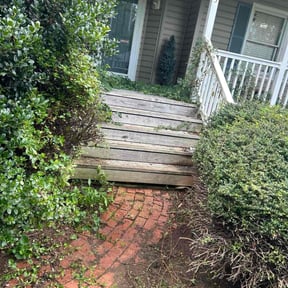 Bush Trimming by Bowkley Roofing &amp; Handyman reviewed on November 24, 2025