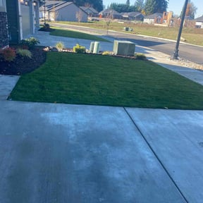 residential landscaping by Pines landscaping reviewed on August 15, 2025