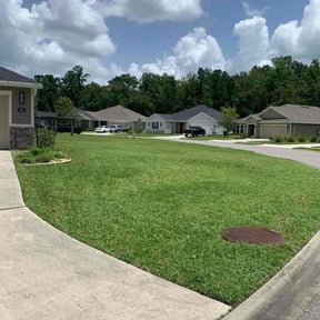 lawn care by Lewis Lawn reviewed on May 5, 2024