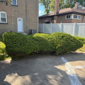 Bush Trimming by R&amp;L Lawn Care Services reviewed on May 12, 2026