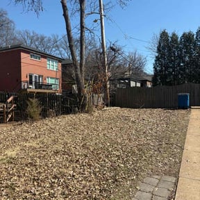 Leaf Removal by Smith &amp;amp; son reviewed on September 13, 2025