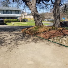 Leaf Removal by Zac of All Trades reviewed on September 22, 2025