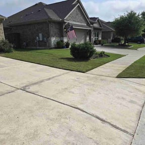 lawn maintenance by Speedy Trim &amp; Clean up reviewed on March 27, 2025