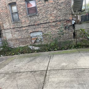 Bush Trimming by LawnJohns lawn service reviewed on August 17, 2025