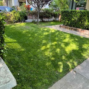 yard care by Contreras Outdoors reviewed on August 20, 2025