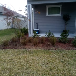 Bush Trimming by Solid Ground Landscaping reviewed on August 16, 2025