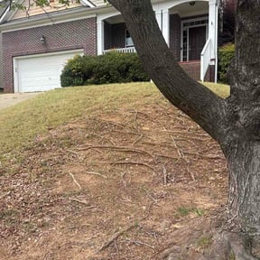 Bush Trimming by Gopher Lawn Pro's reviewed on April 6, 2026