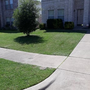 Bush Trimming by Sunrise Sunset Landscaping reviewed on August 16, 2025