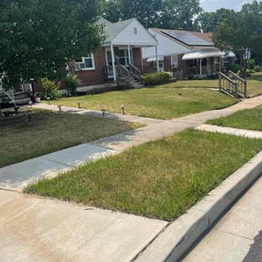 Bush Trimming by Verde lawn care reviewed on August 16, 2025