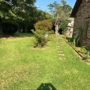 turf maintenance by MowTown Turf Care reviewed on August 31, 2018