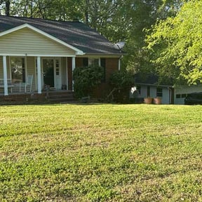 Bush Trimming by Elite earthworks reviewed on April 15, 2026