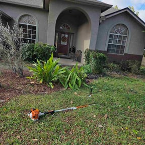 Bush Trimming by Little Services reviewed on October 22, 2025