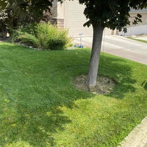 yard care by Greener Pastures Lawn Care reviewed on August 21, 2025