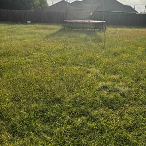 Bush Trimming by USA Lawn Pros reviewed on October 21, 2025