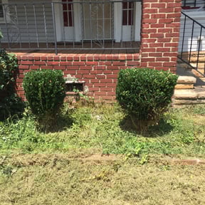 Bush Trimming by Yanez Brothers Landscaping reviewed on August 19, 2025