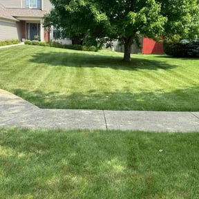yard care by Freel's Lawn Care reviewed on August 16, 2025