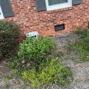 Bush Trimming by Chucks Cutz LLC reviewed on August 15, 2025