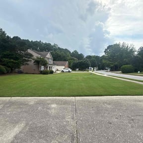 yard work by Bakers Lawn Care @ Pressure Washing reviewed on August 15, 2025