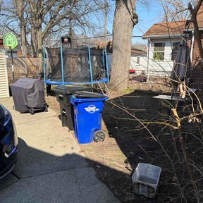 Leaf Removal by Ceaser landscaping. reviewed on April 6, 2026