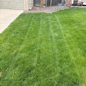 yard service by Valleys and Peaks Landscaping reviewed on August 18, 2025