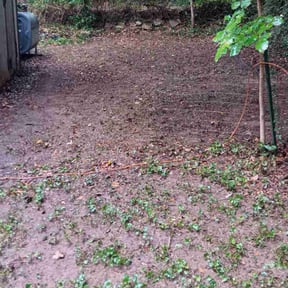 Leaf Removal by Rick&#039;s Landscaping &amp; Construction, LLC. reviewed on September 7, 2025