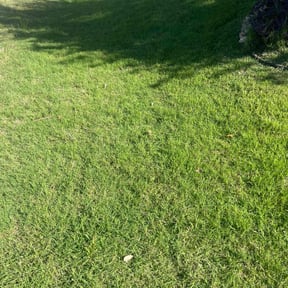 landscaping services by Don West Cutting reviewed on August 18, 2025