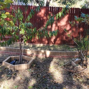 Flower Bed Weeding by Masons Curb Appeal reviewed on August 21, 2025