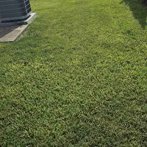 landscaping by Indy's Grass Slingers. LLC. reviewed on November 22, 2025