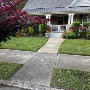 yard work by Z & M Landscape reviewed on August 17, 2025