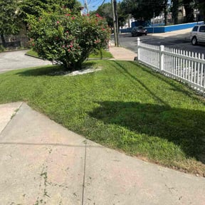 grass cutting by Terrence Wilburn ( TW Enterprise) reviewed on August 16, 2025