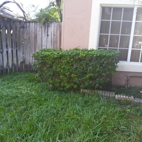 Bush Trimming by lee harris lawn care reviewed on August 20, 2025