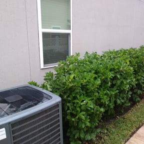 Bush Trimming by TxSoles Landscaping reviewed on August 17, 2025