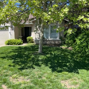 residential landscaping by Sean’s yard and maintenance reviewed on August 20, 2025