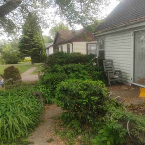 Bush Trimming by Superior lawn maintenance reviewed on August 19, 2025