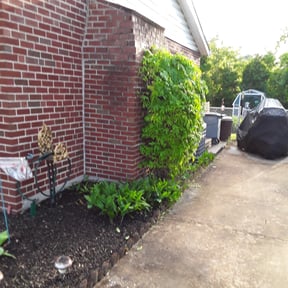 Bush Trimming by LEGENDARY LAWNCARE AND POWER WASHING reviewed on August 20, 2025